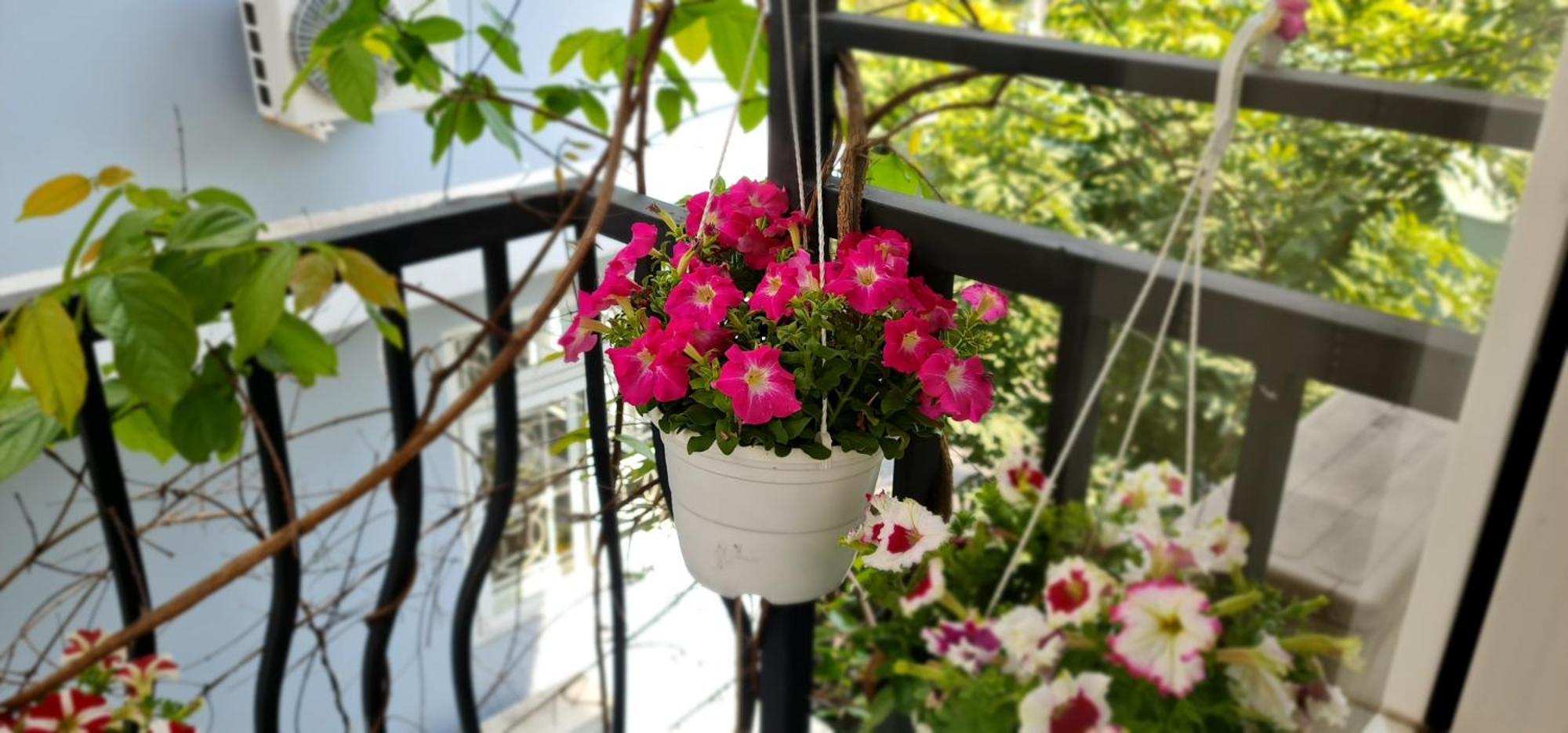 הו צ'י מין סיטי Spring Light Home מראה חיצוני תמונה